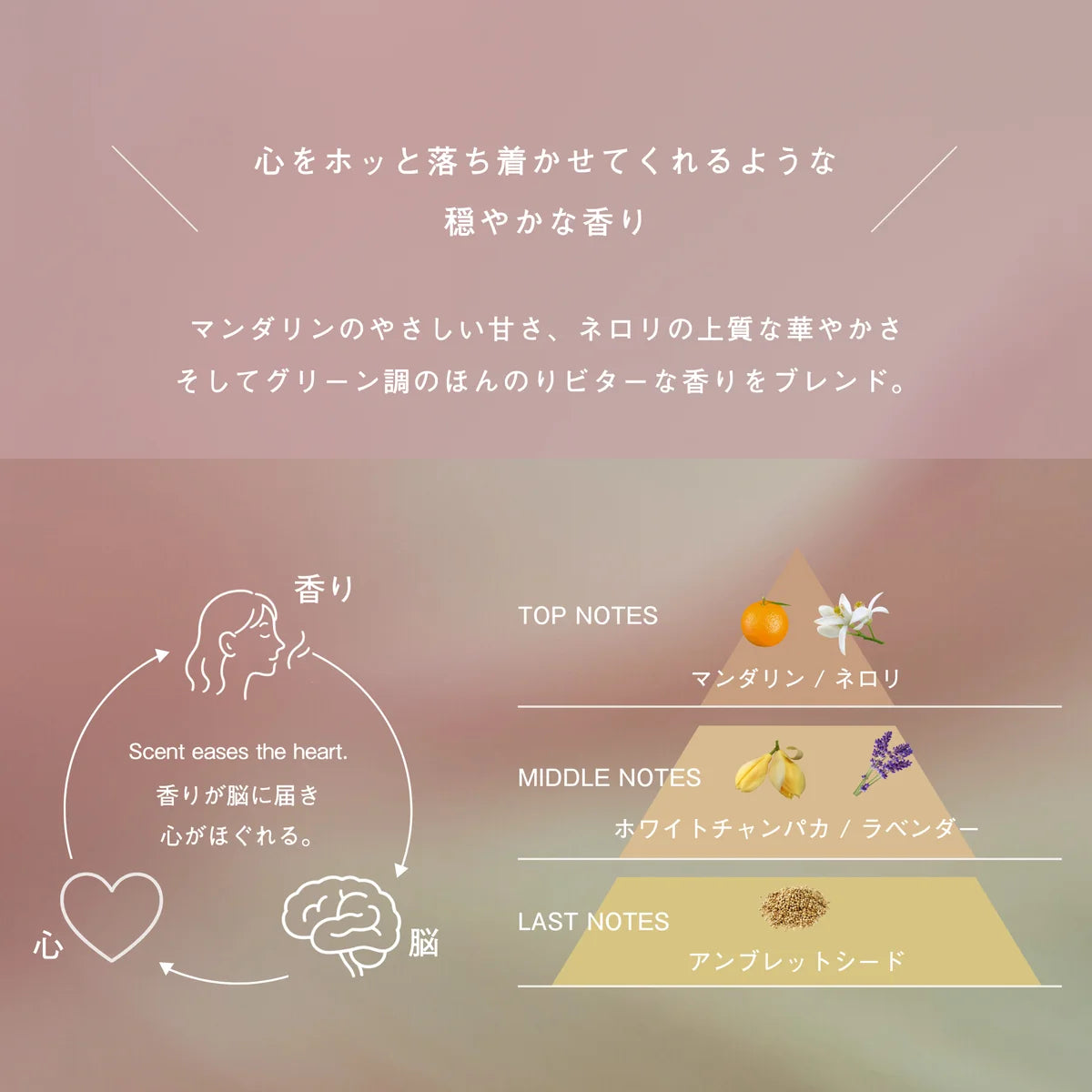 soel LIVING-OIL デリケートソープ