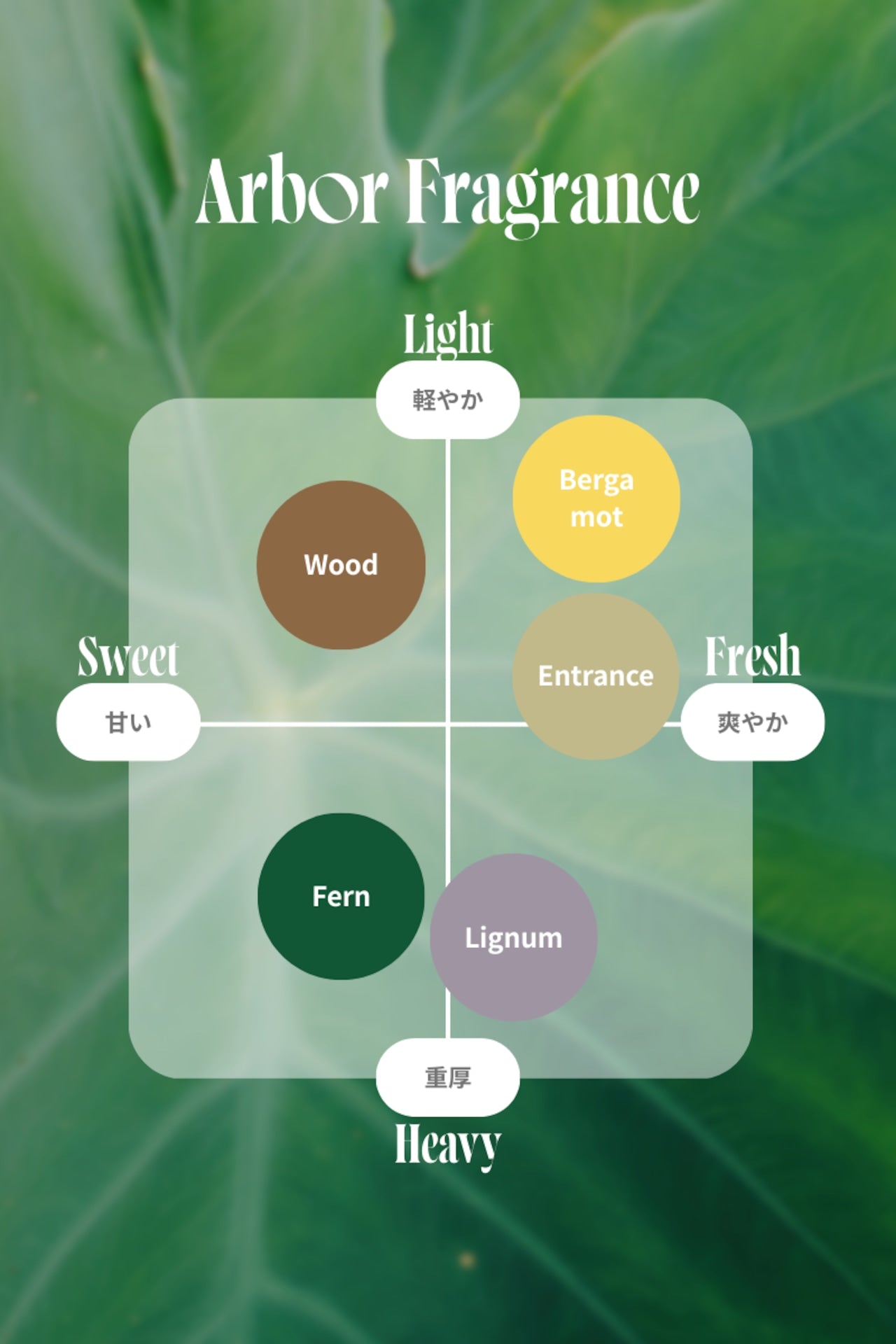 Arbor Lotus wood diffuser × aroma oil set