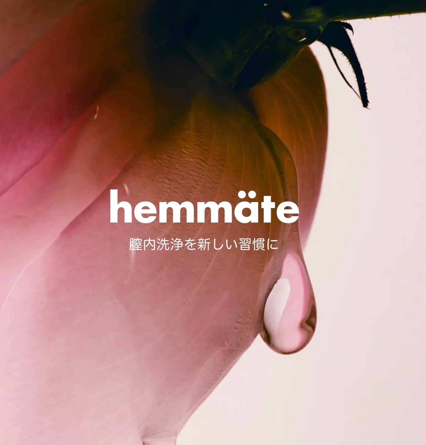 hemmate   inside care gel 1pc 膣洗浄ジェル