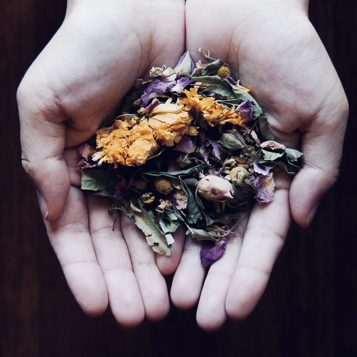 LITTLE WONDERS HERBS&TEA    IT'S A SPECIAL DAY!