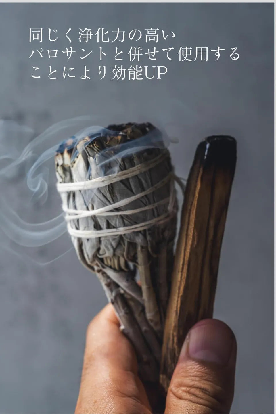 ホワイトセージ　トーチスティック