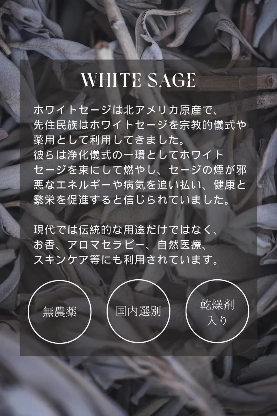 ホワイトセージ　トーチスティック