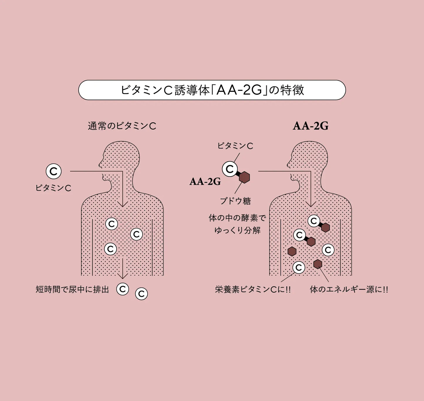 ascorbio lab    PROVIT C    AA-2G ビタミンC サプリ